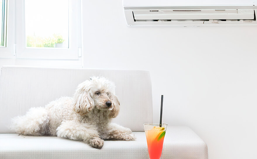 Expert Ductless Minisplit Installation for Your Home